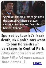 Politicians overreacted to the death of an 18-year-old tourist, Romanch Mahajan, believed to have been the first stemming from a horse carriage accident since the rides were introduced in Central Park more than 150 years ago, according to the labor union that represents the industry and the Central Park Conservancy.  (That ''Seinfeld'' episode was a real gas.)